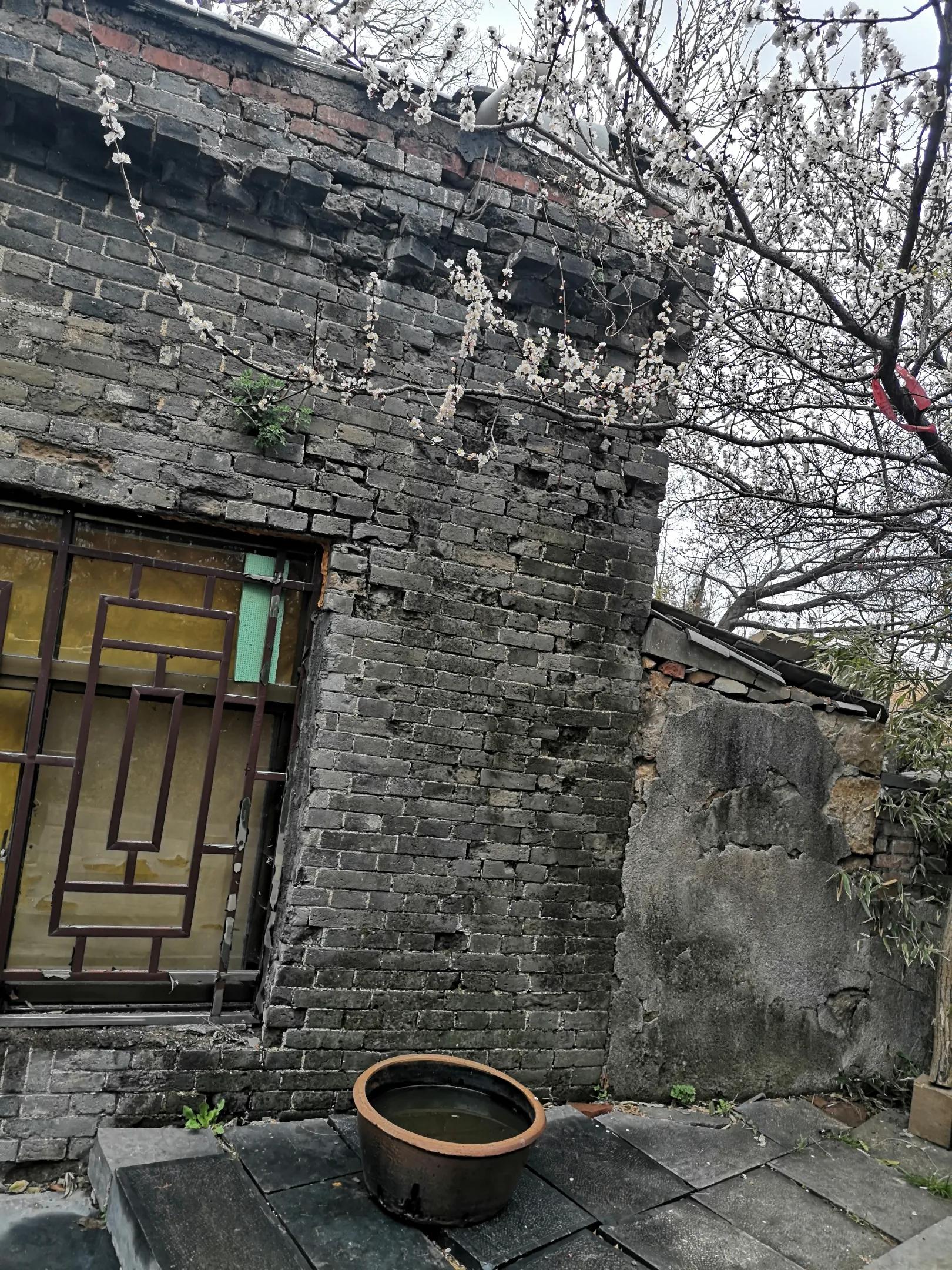 嵩山少林寺旅游攻略一日游,春季嵩山少林寺景区一日游