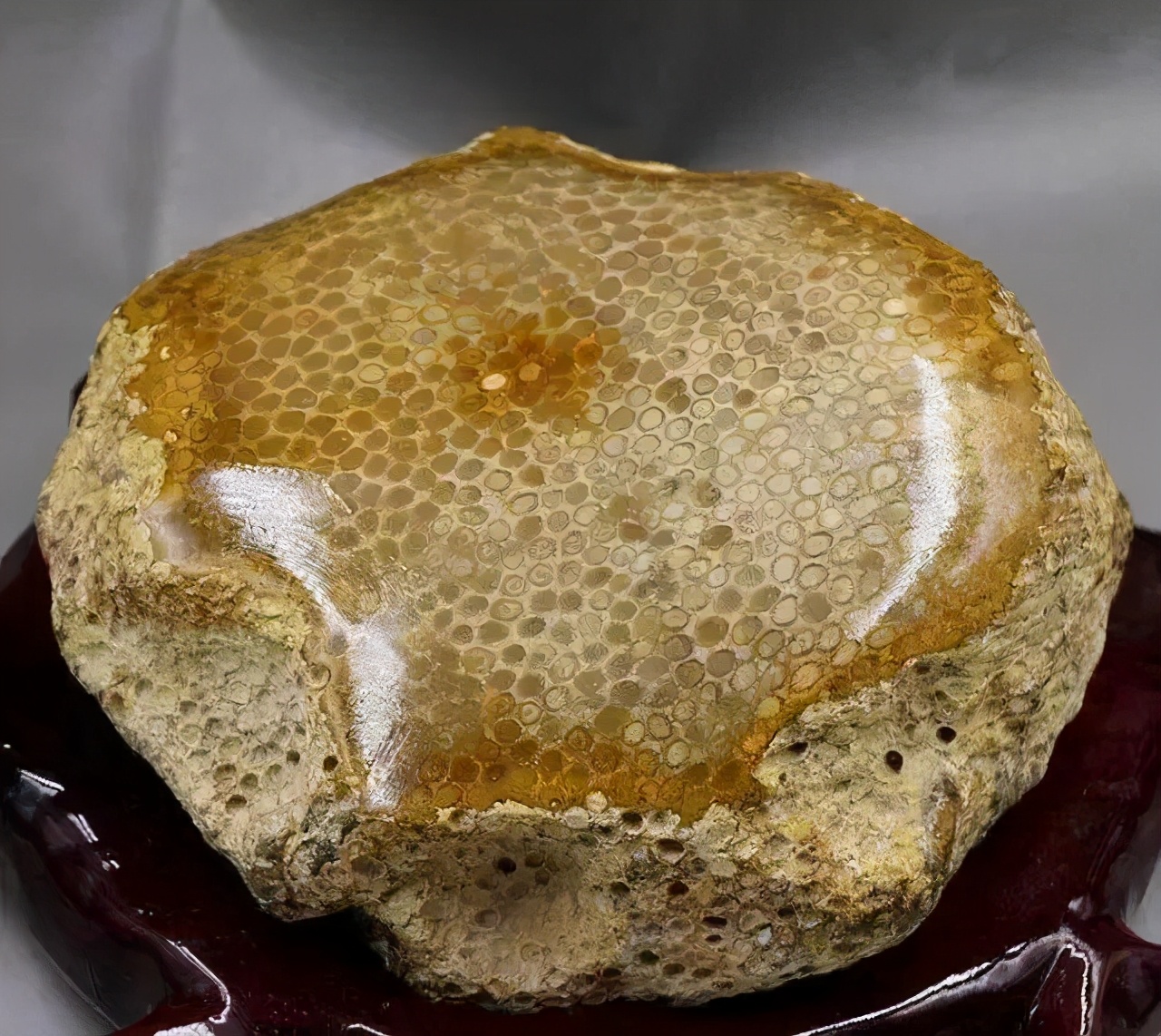 中国宝玉石品种,宁强珊瑚玉石图片