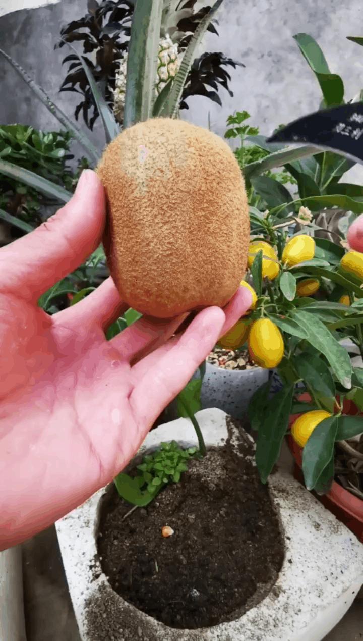 课代表成绩考差,课代表收作业慢的最好解决方式