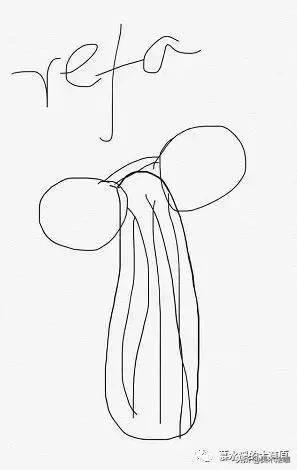 微商变身灵魂画手代购,朋友圈代购变身灵魂画手