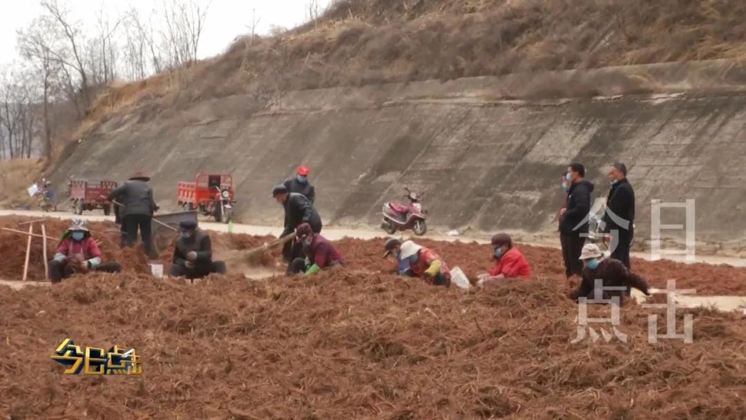 铜川印台脱贫攻坚,铜川印台区脱贫户