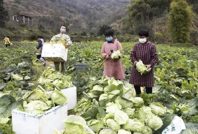 病毒能通过衣物传染吗？会在头发上滞留吗？地铁票会传播病毒吗？这些知识你需要知道