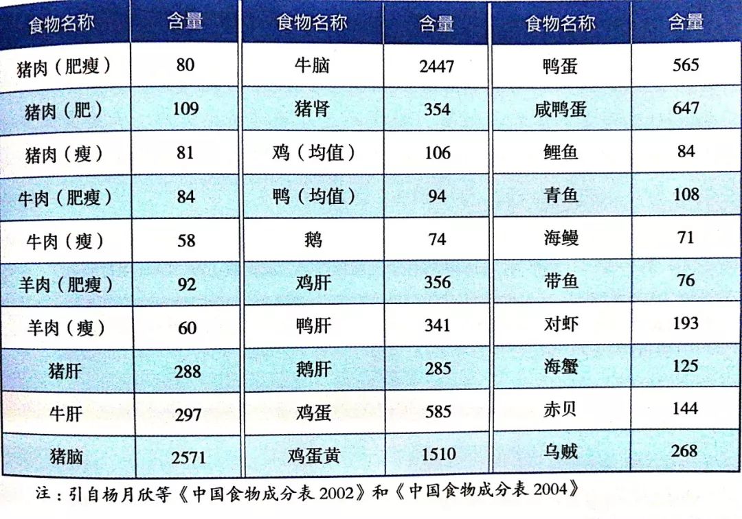 二代猫,二代猫咪