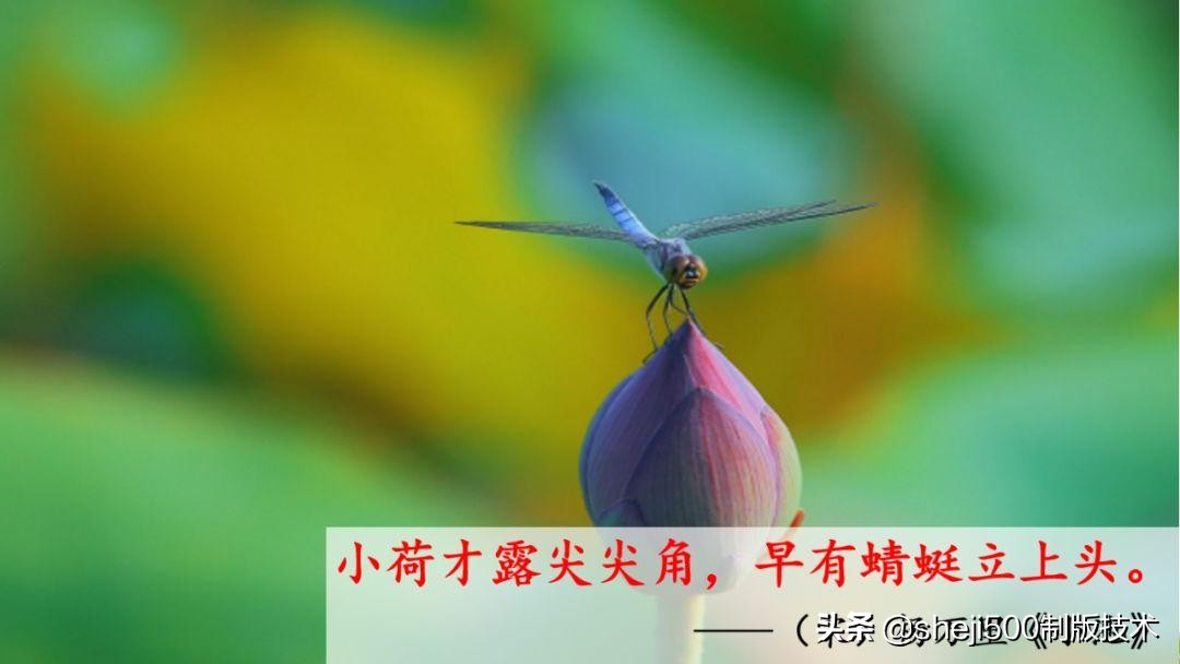 一年级下册识字春夏秋冬生字视频,一年级语文下册春夏秋冬课文朗读