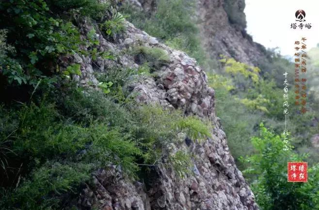 迁安塔寺峪风景区门票,迁安塔寺峪旅游景点