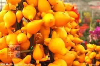 世界稀奇水果品种大全,世界热带奇特水果品种介绍