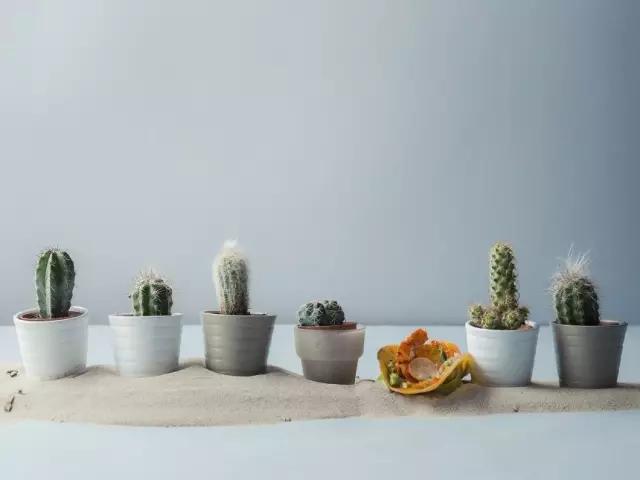 美食摄影真的没有这么难,美食摄影一拍就上手