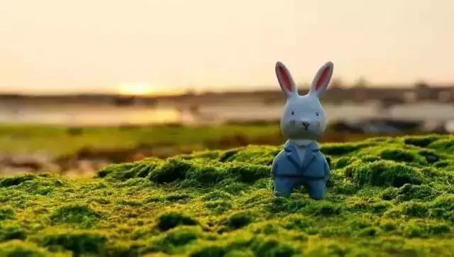 你的微信名暴露了你的层次,你的微信昵称暴露了你的社会阶层