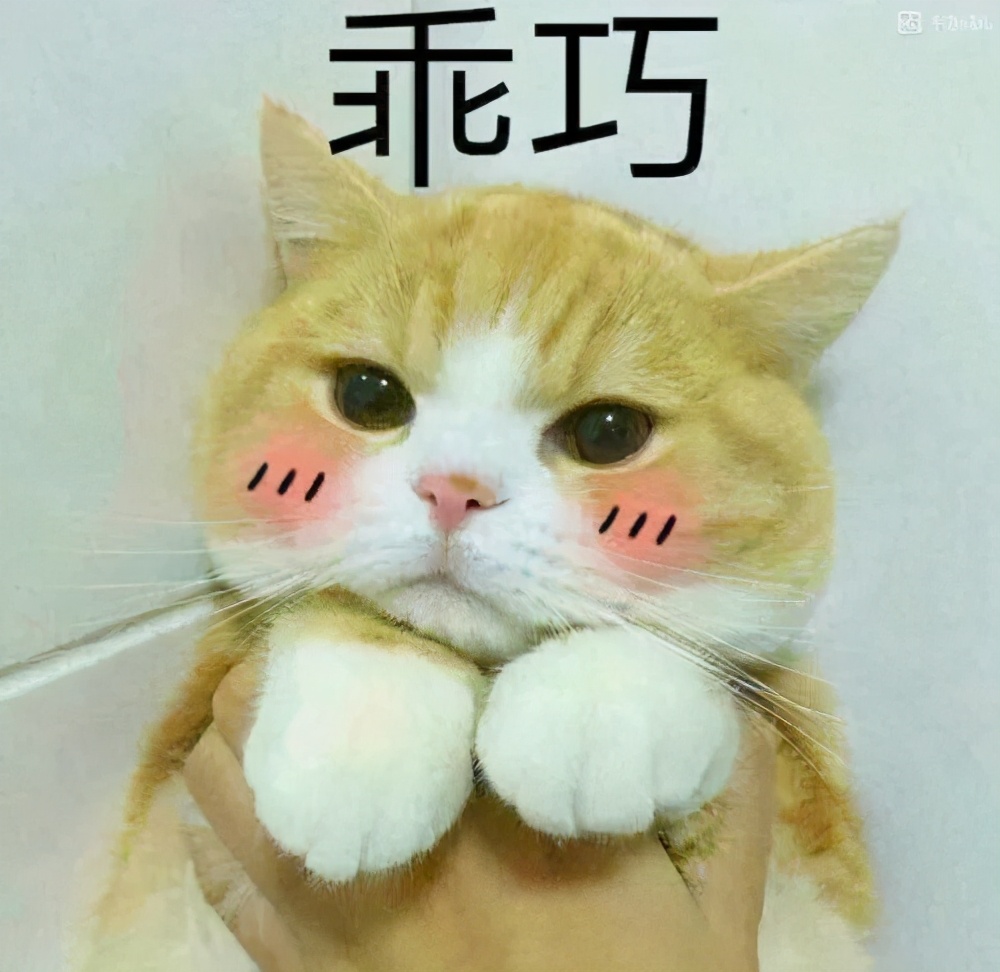 现在的研究生导师都是这样的吗,现在的研究生导师都这么有梗了吗