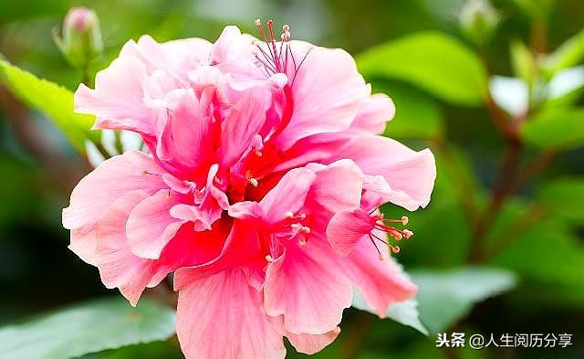 人生格言经典短句励志正能量,正能量人生格言励志短句大全