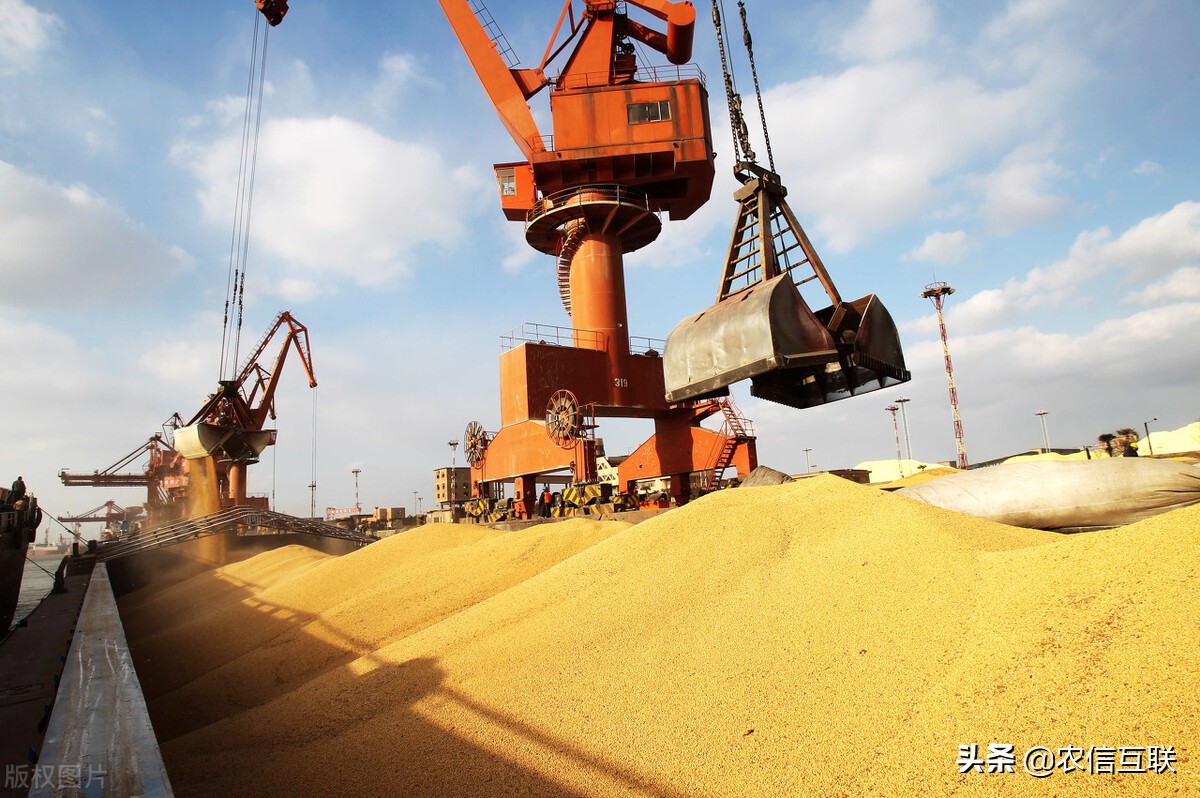 2018年我国从巴西美国进口大豆量,进口美国3300万吨大豆