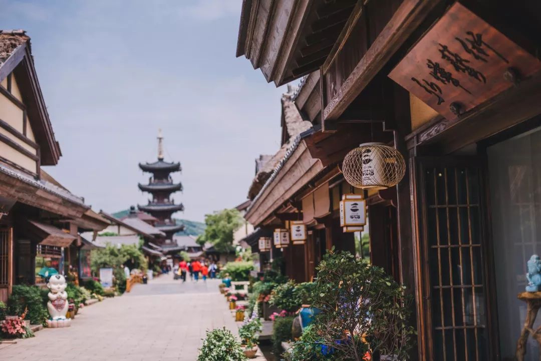 世界最美赏樱地,武汉是全球公认的三大赏樱胜地