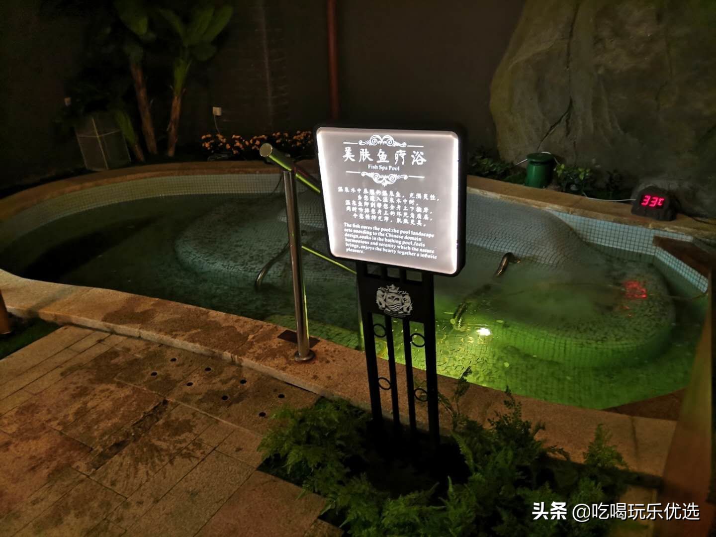 天津仁爱团泊湖温泉夏天,天津热带雨林主题温泉