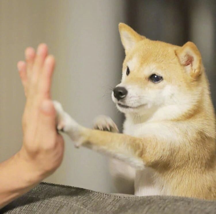 啧啧啧~断绝它的“性”福之路前你有仔细考虑吗？