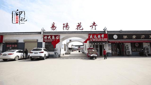 商丘道北花鸟批发市场,商丘花鸟宠物市场