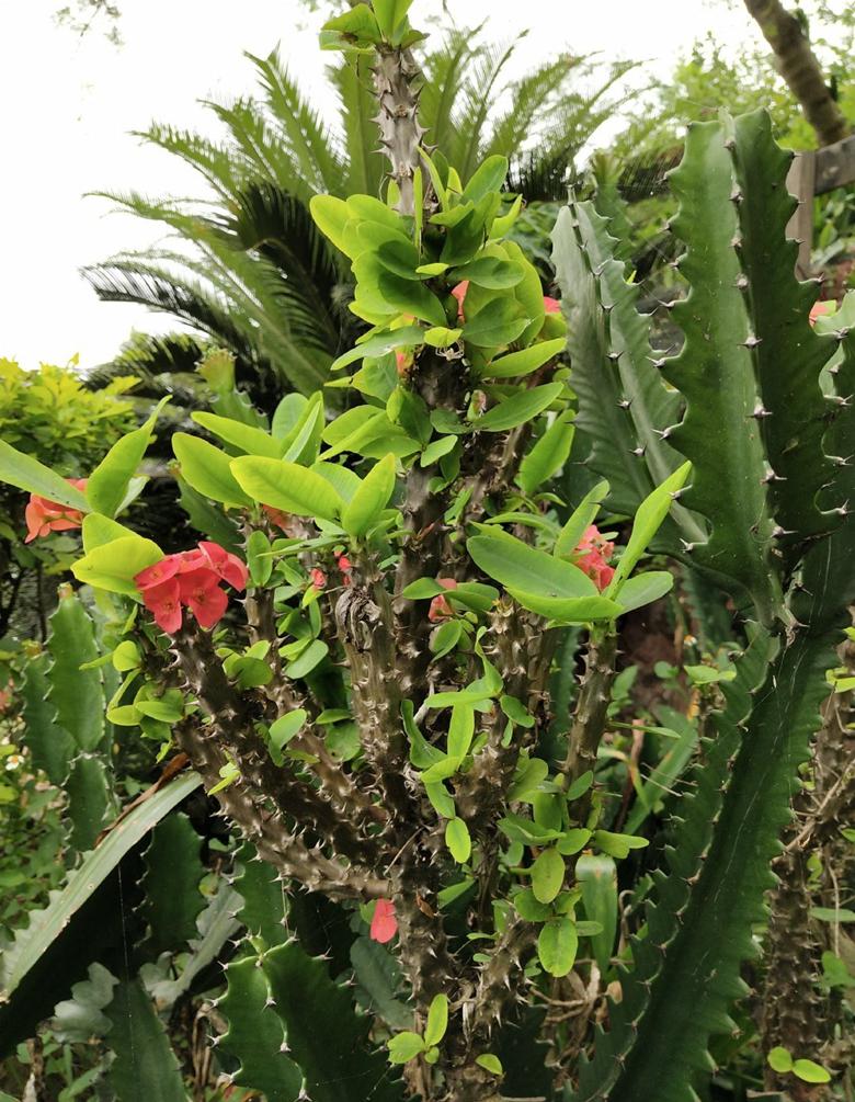 比三亚更值得去的海岛,比海南三亚更美的海滩