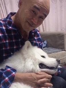 如果家人不让你养狗该怎么办,怎样说服爸妈给我养狗教你5招