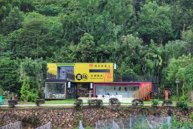 梅州采茶,梅州采茶体验