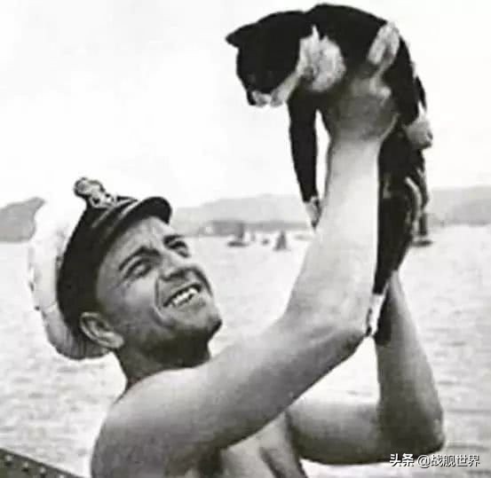 撸猫一时爽,撸错就很惨,盘点这些战舰上的玄学舰猫,你了解多少