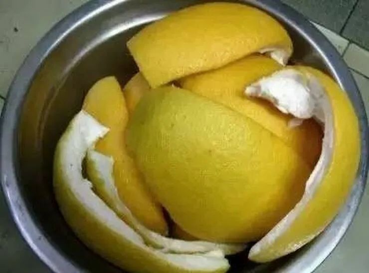 绿萝忘浇水黄叶怎么治疗让它变绿,绿萝文竹总发黄1招让它绿油油