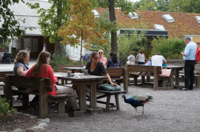 目前爱沙尼亚现状,揭秘爱沙尼亚