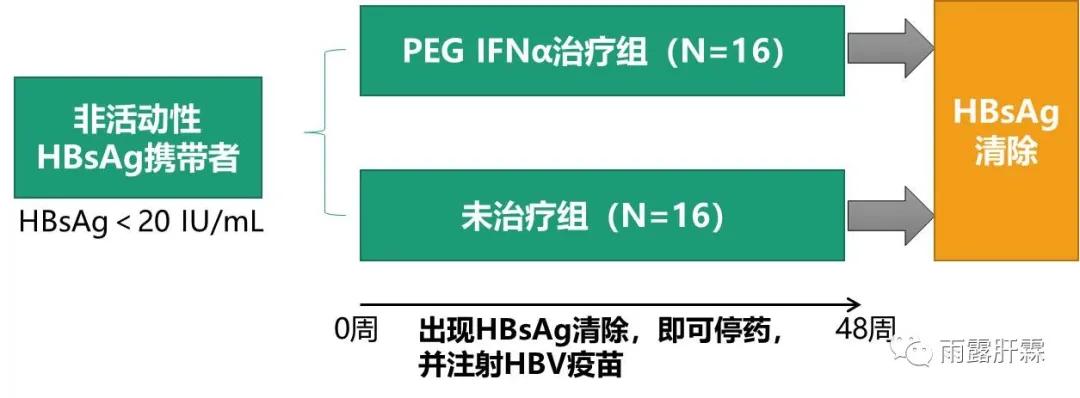 非活动性HBsAg携带者短期用PEGIFNα-2b治疗可有93.7%表抗清除率
