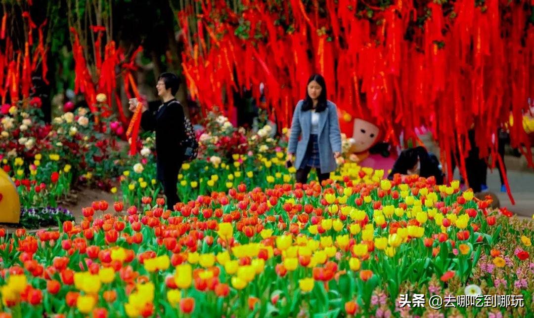 38抢从化宝趣玫瑰世界1大1小票赏春赏花赏美景不负*光春**不负卿