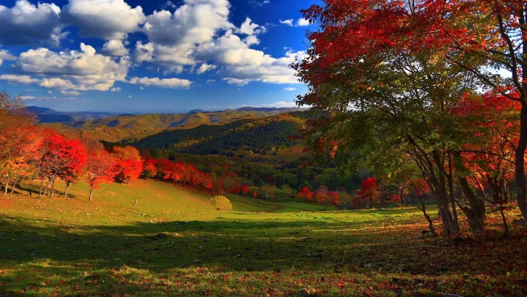 约吗？本周走进白山市临江市，这个安排很Nice