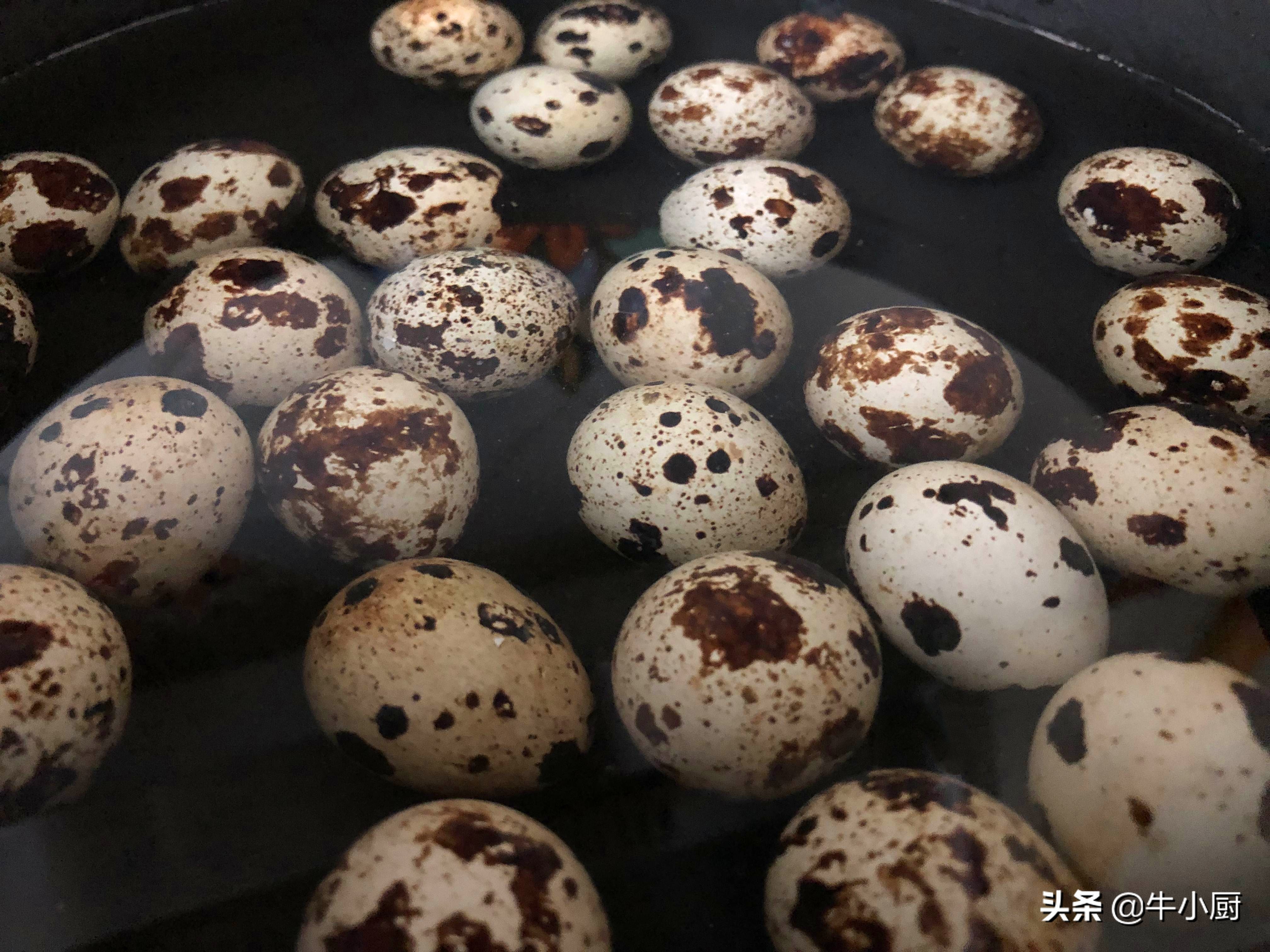 独有绿壳蛋营养价值,小鸡蛋营养价值高