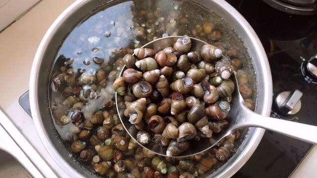 如何让田螺快速吐泥沙？不要再傻傻的用盐了，用它泥沙吐得更彻底
