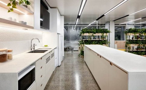 公司老鼠多怎么灭鼠,公司老鼠怎么彻底消灭