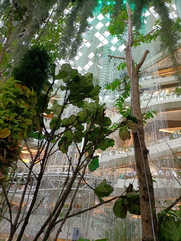 光环购物公园与新加坡樟宜机场,重庆观光购物公园