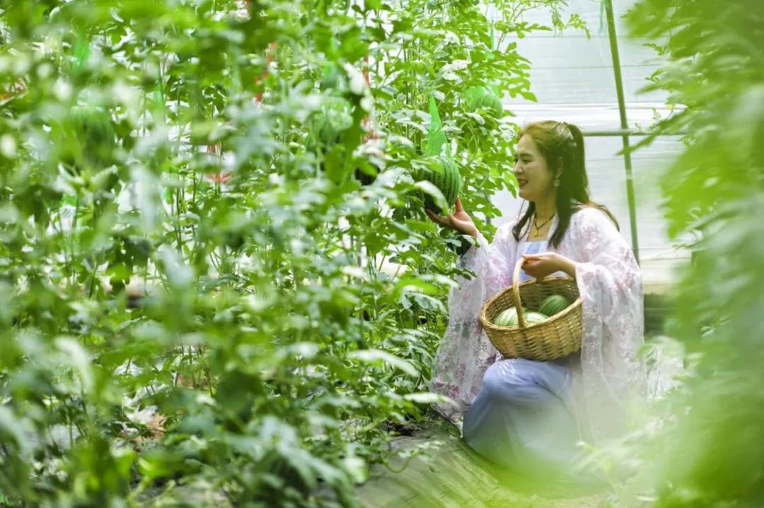 祥和庄园4月29日开园啦!向往的生活从这里开始