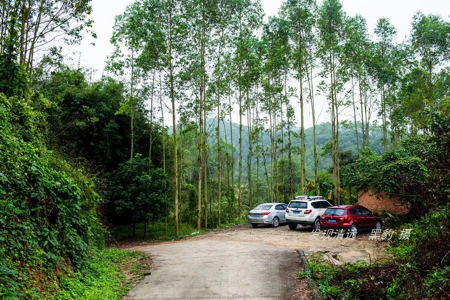 广东哪里有野温泉泡,藏在惠州的一个免费野温泉
