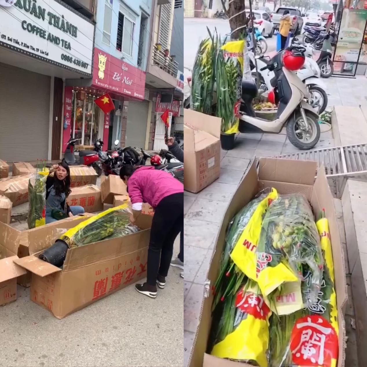 越南美女做什么生意,越南美女都做什么生意