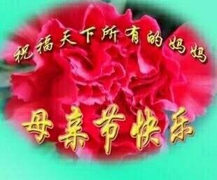 母亲节表情包,母亲节康乃馨视频完整版