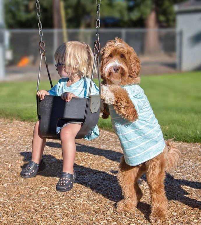 狗狗缺钙严重会站不起来视频,怎么判断狗狗是髌骨脱位还是缺钙