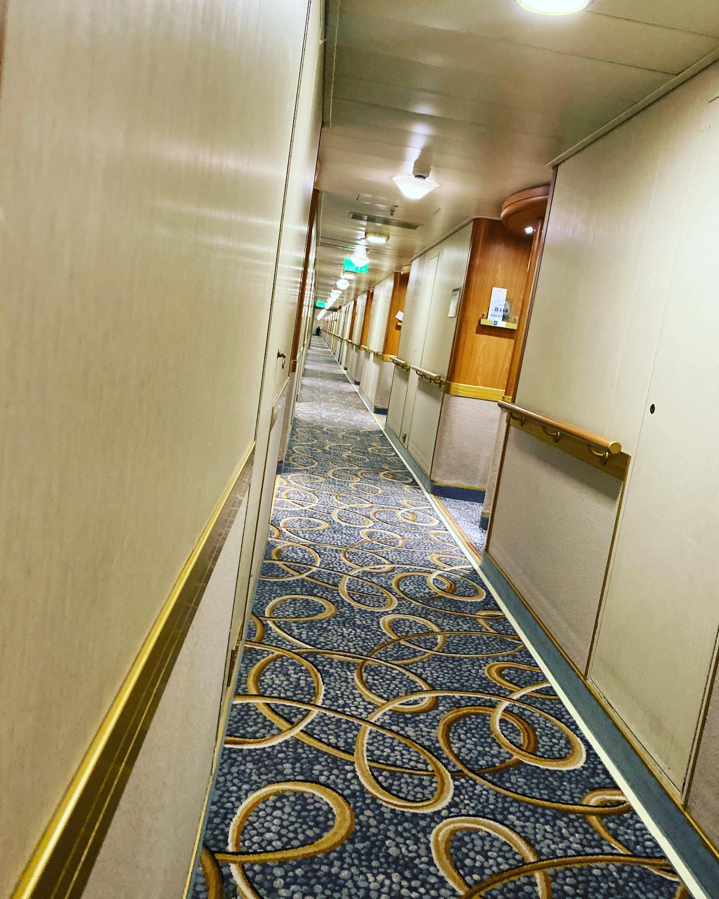 钻石邮轮公主号最新消息,钻石公主号邮轮管辖问题