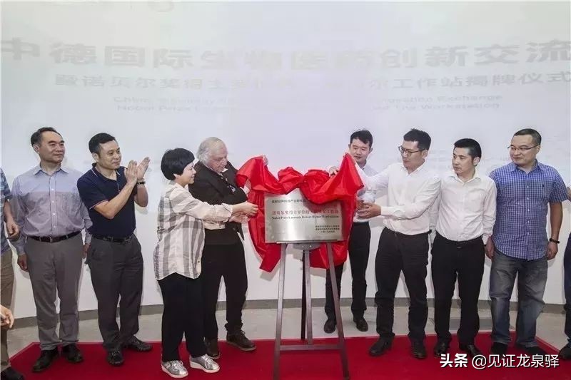 回顾龙泉驿百年变迁简报,龙泉驿区发展展望