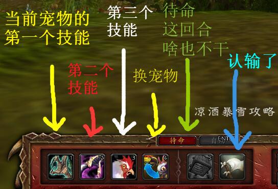 魔兽世界宠物对战是哪个版本的,魔兽世界宠物对战推荐