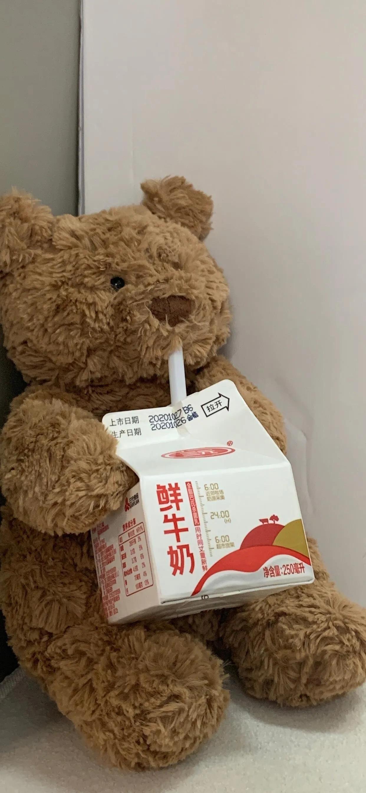 巴塞罗那熊4k壁纸,巴塞罗那熊高清手机壁纸