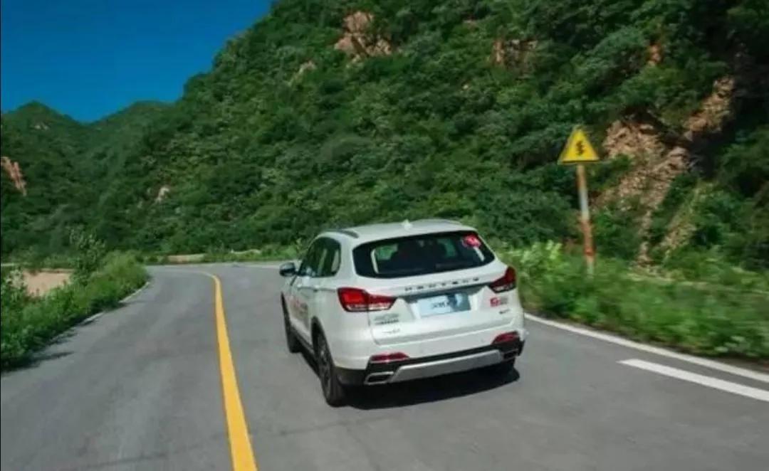 老太含泪扔下猫进城，猫妈带着小猫，在洞里挨饿，恶蟒蛇还来祸害