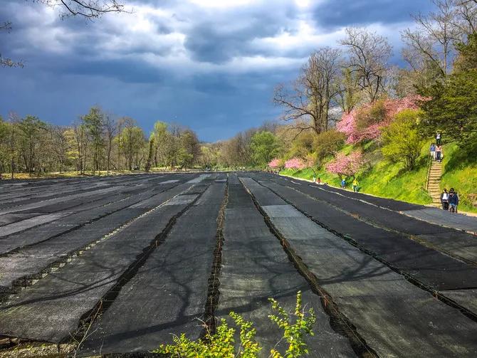 225亩公园能容纳多少人,225亩荒地