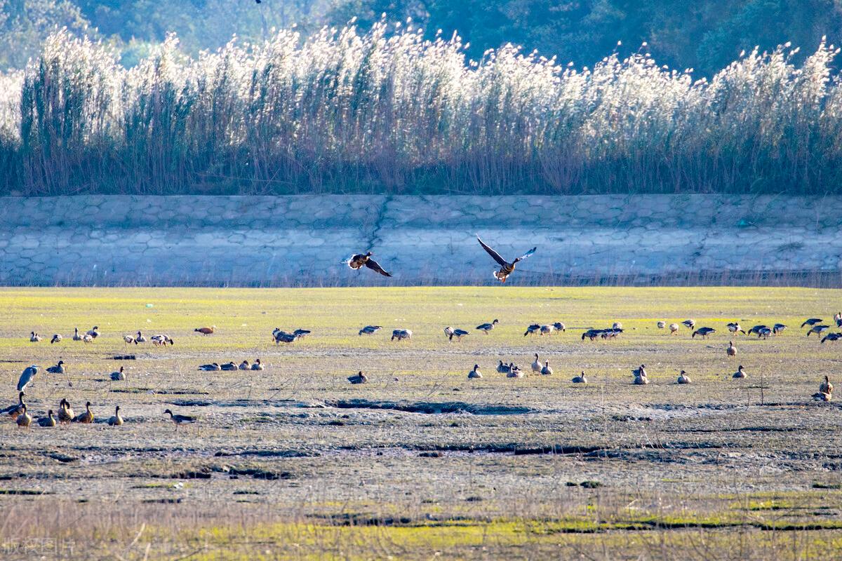 学习强国争上游答题精美图文解析与拓展（名山大川、江河湖泊）