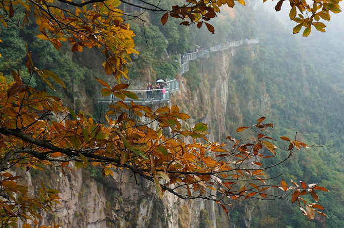 奉化溪口雪窦山妙高台视频,游奉化溪口徐凫岩攻略
