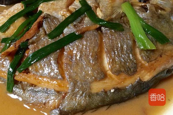 这鱼是“海里小人参”，1斤35，益气养血，护眼明目，贵点也值得