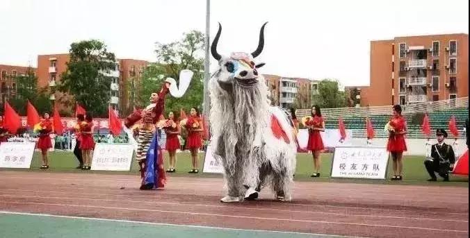 一头扎进春天里云南,美如仙境的西南民大