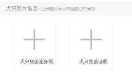 广州养犬证办理,宠物狗怎么办理养犬证