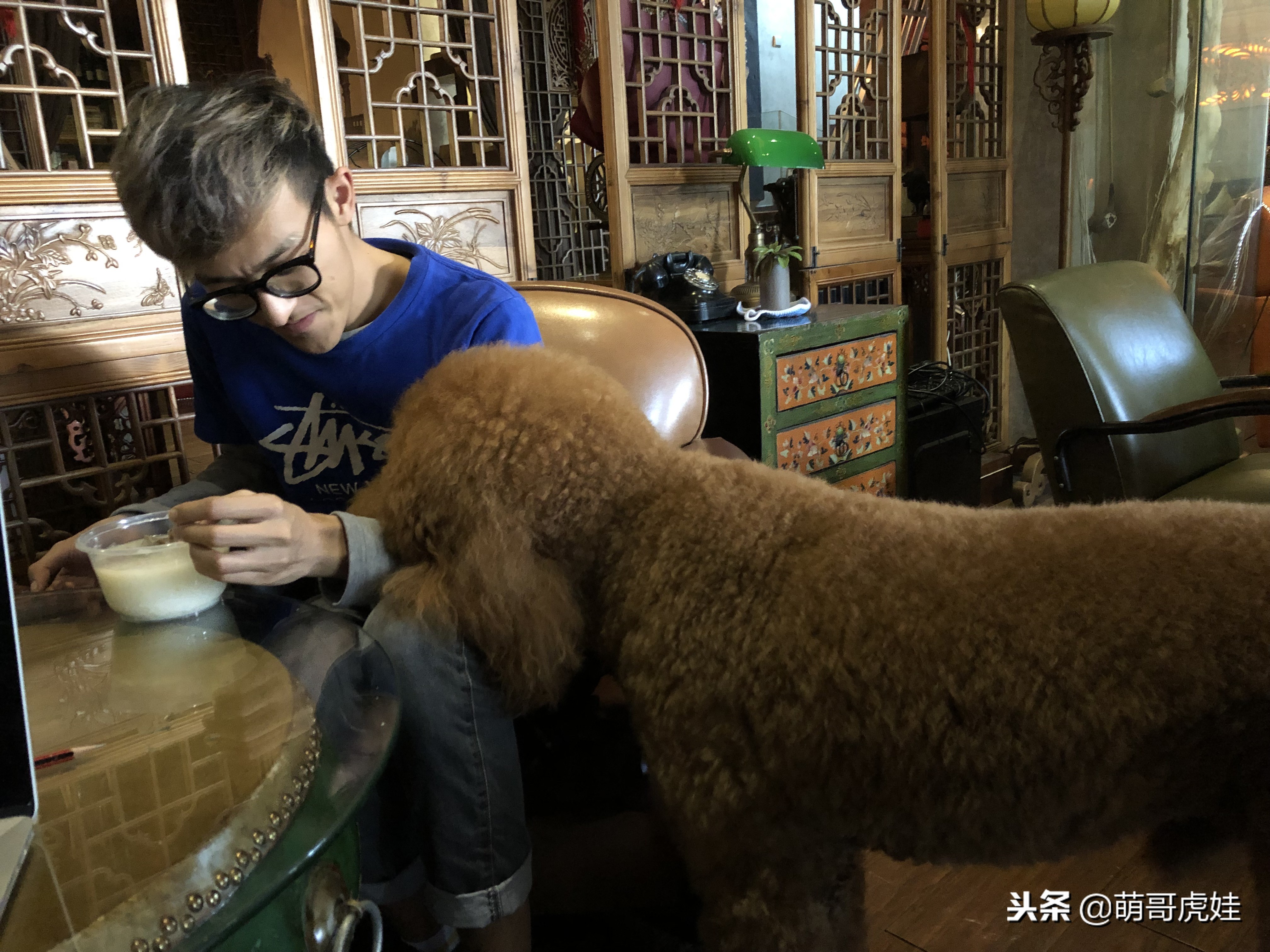 自从养了一只狗偷偷吃东西,自从养了狗偷吃东西都得偷偷摸摸