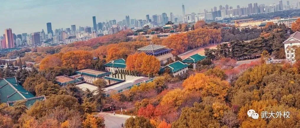 真香！读三年初中省几万块！？还能直升德国名校|名初解读